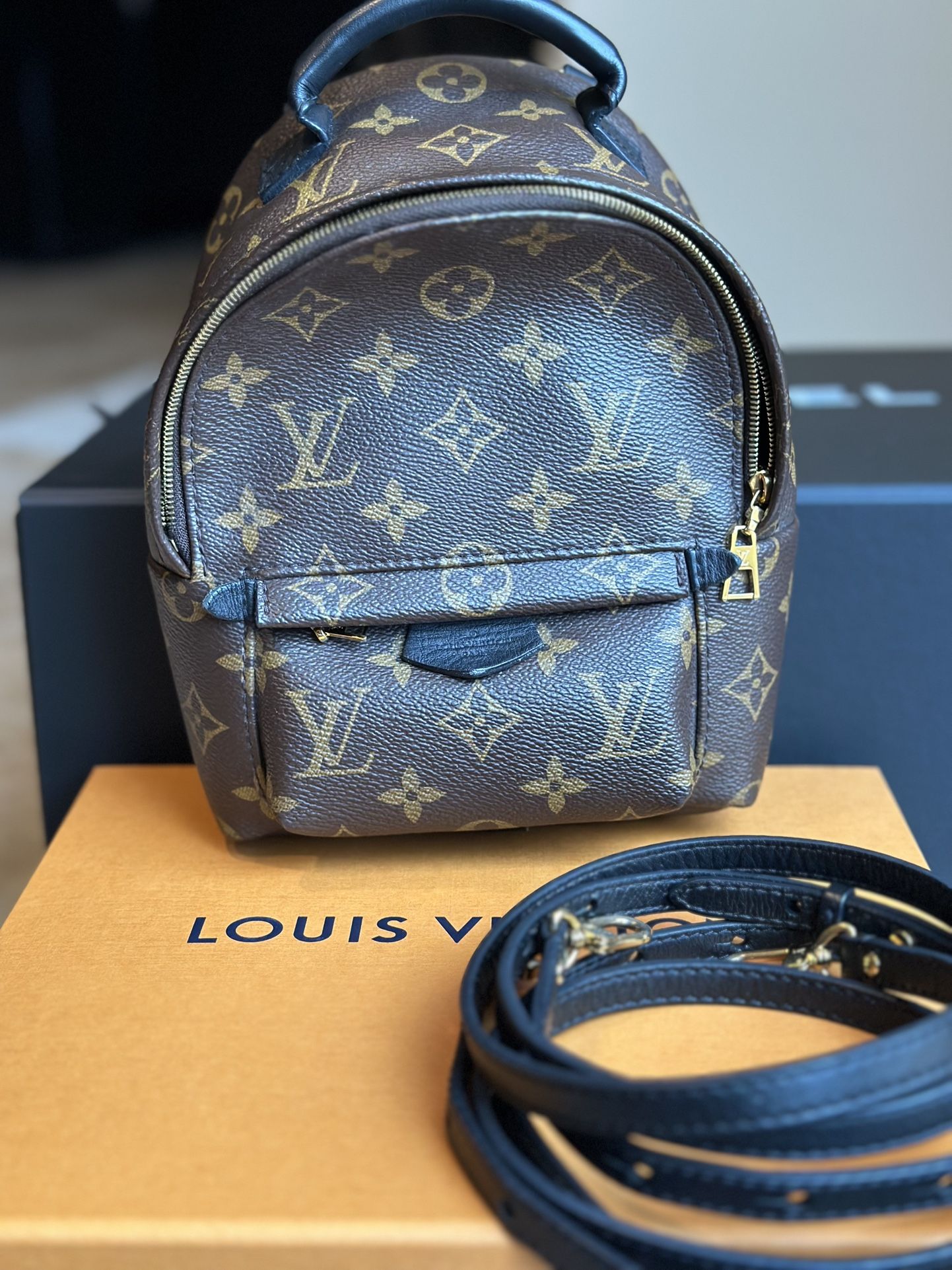 Louis Vuitton Lv Palm Springs Mini