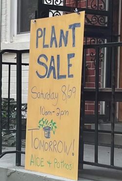 Plant sale today NE DC