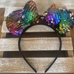 Minnie Ear Lot (2)
