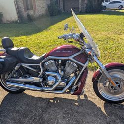 2004 Harley Davidson VRSCA V-Rod
