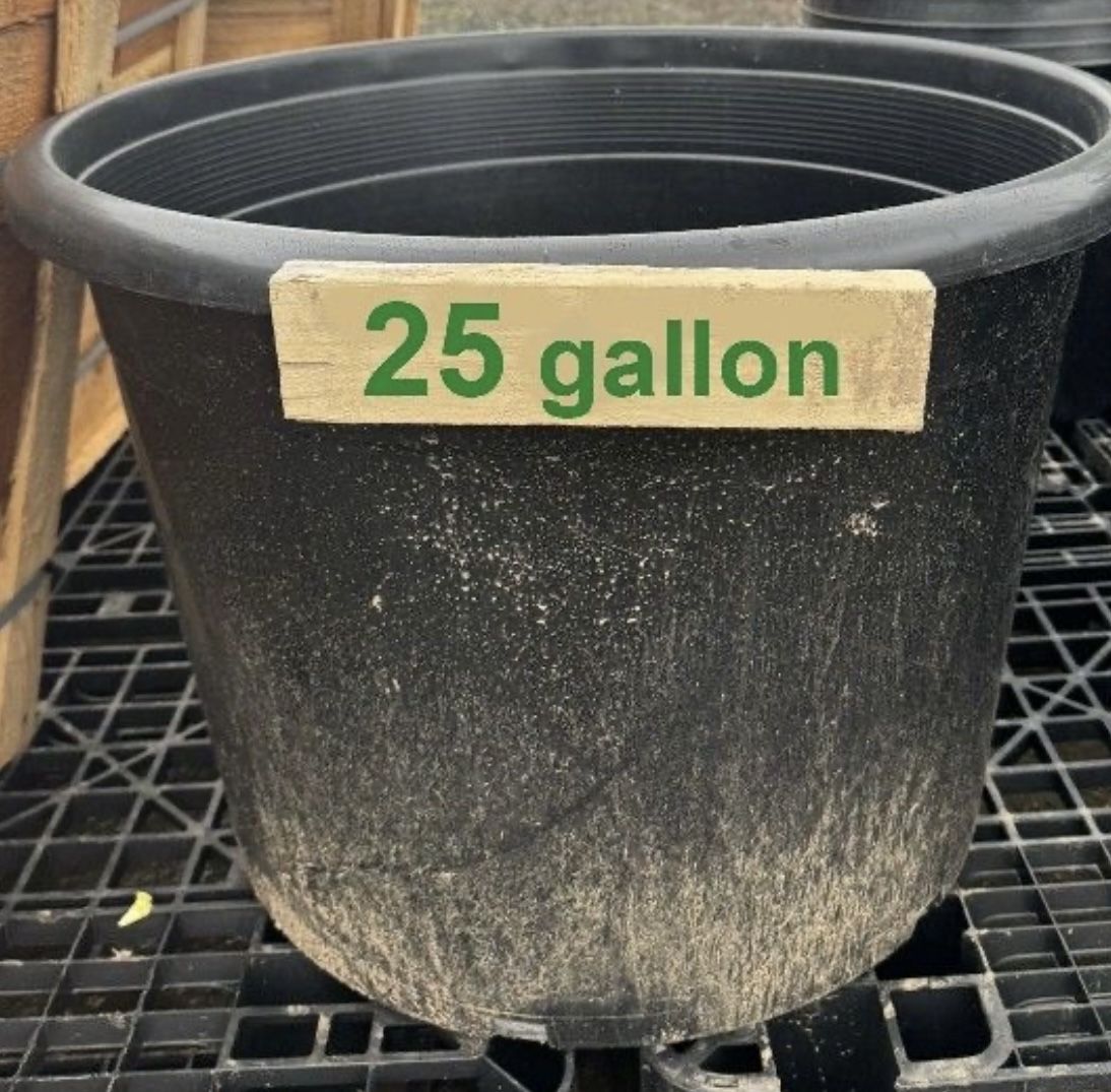 Black Plastic Plant Pot