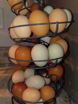 Fresh Eggs, Huevos fresco