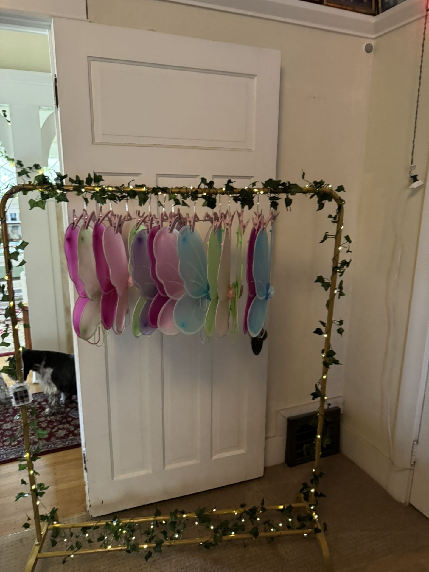 Fairy Wings, Rack, And Light Up Garland