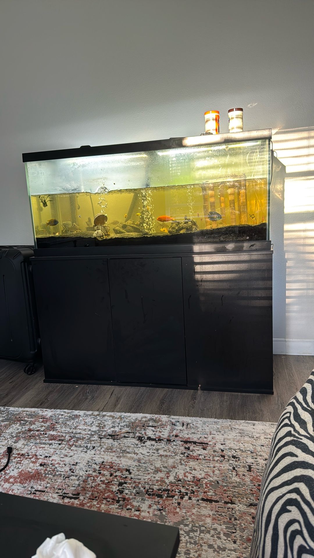 Full Aquarium For Sale 75 Gallon 