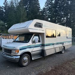 1993 Ford Minnie Winnie DL