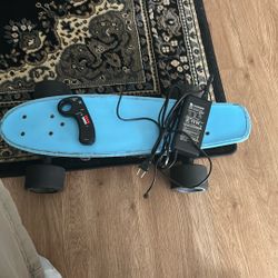 Electric Skate Board 