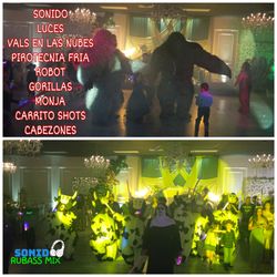 Sonido Dj Robot Gorilla