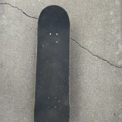Skate Board