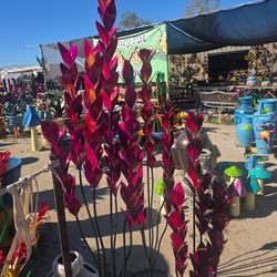 🌹NEW! Colorful Ocotillos & Unique Metal Art Just Arrived🌞Cacti + Planters🪴