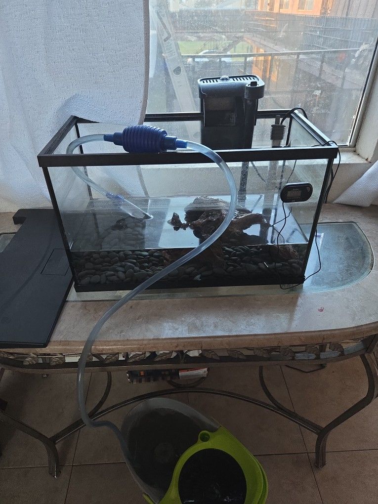 Fish Tank And Extra