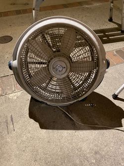 Fan