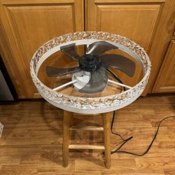 Ceiling Fan With Light