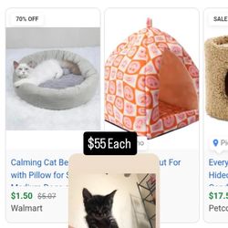 Cat Bed