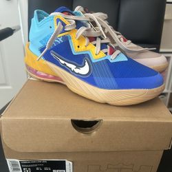 Lebron 18 Roadrunner Space Jam GS Size 5.5y