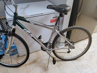 Caloi Mens Bike This Bikes In Mint Condition Also A Brand New Seat
