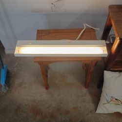 Overhead Work Light