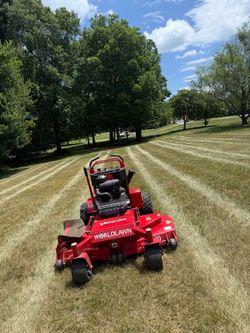 Worldlawn venom 60