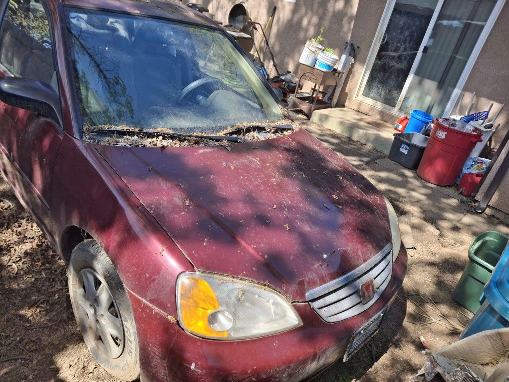 2003 Honda Civic