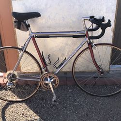 Nishiki Men’s Road Bike