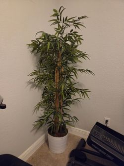 Bamboo Faux Plant