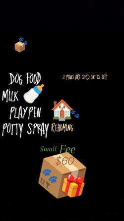 Small Fee $60 Dog Stuff DM Me