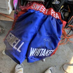 Boxing Trunks Signed By Sweet Pea Whitaker