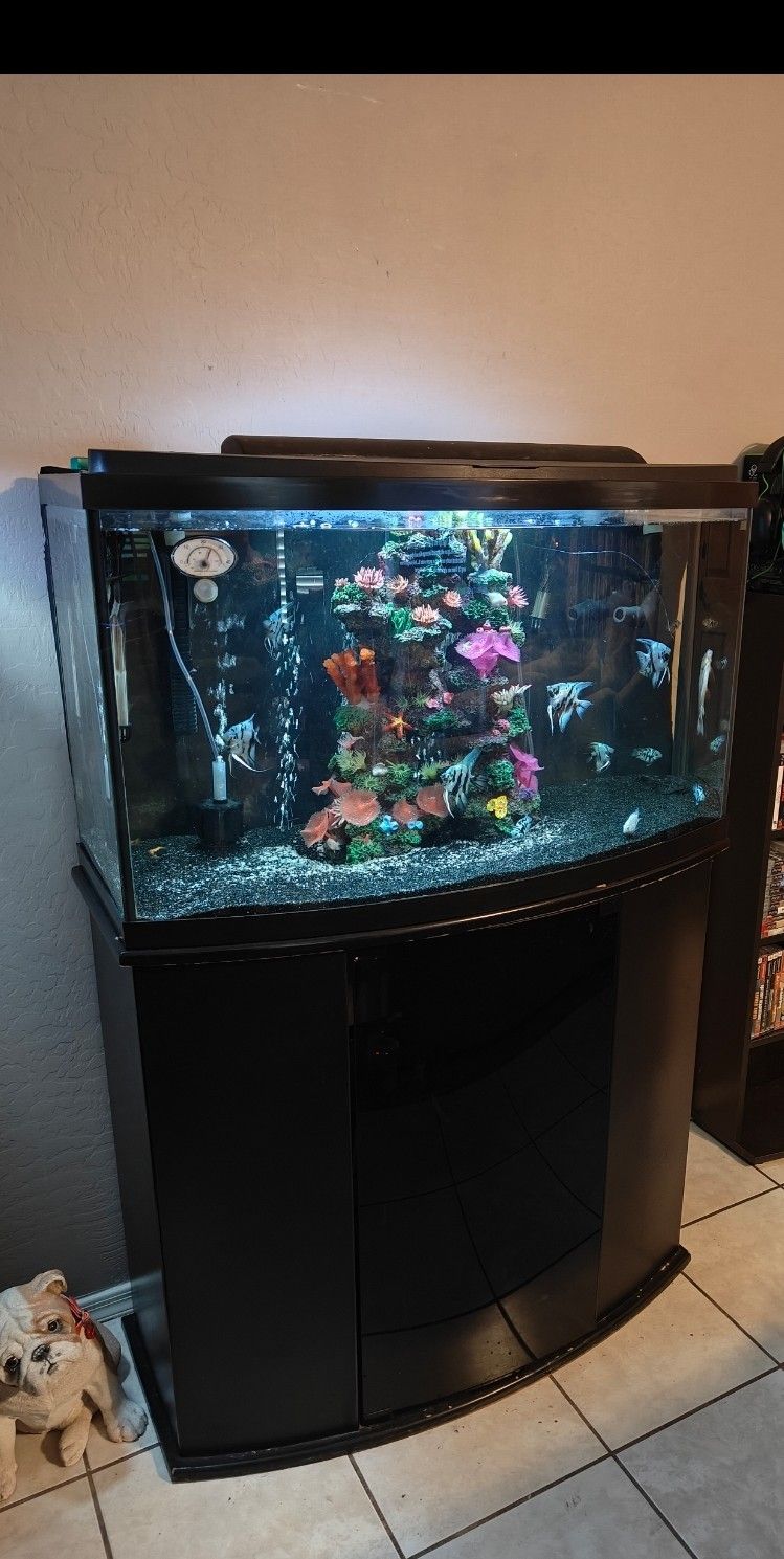 Fish Tank With Everything.