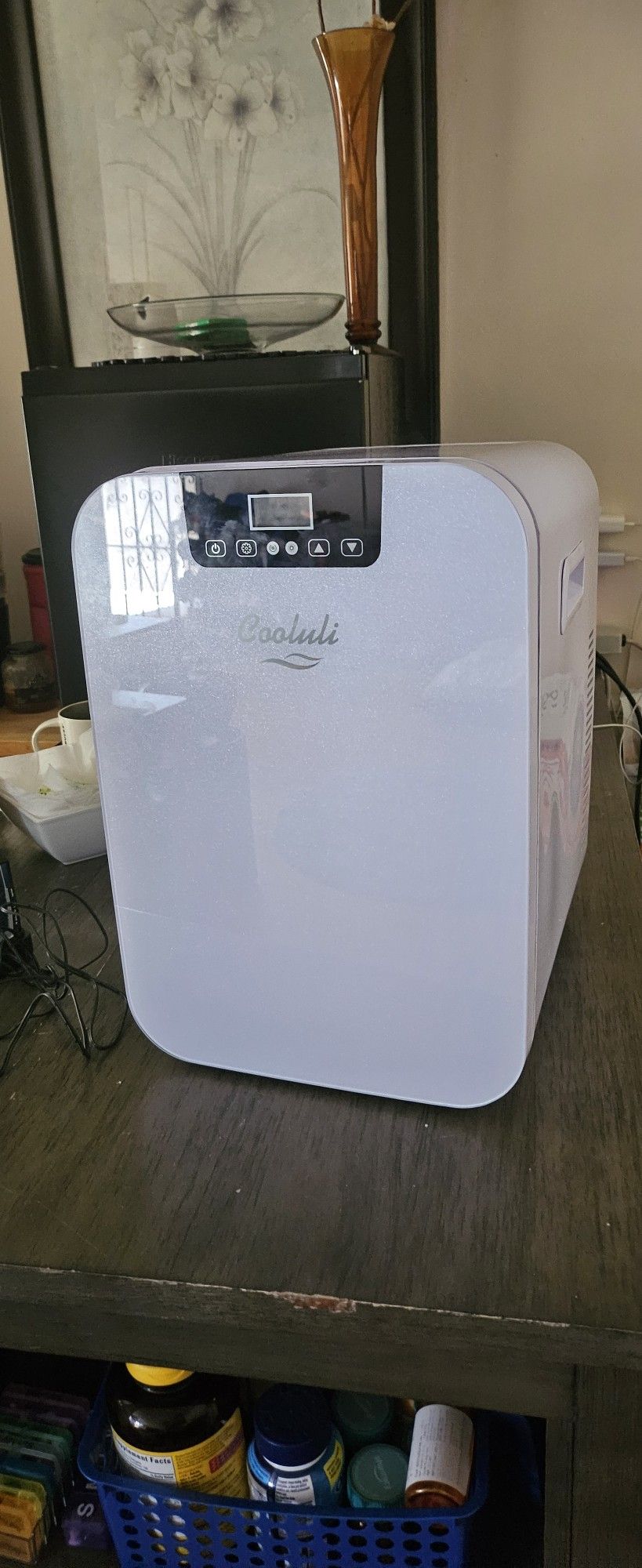 20 Liter Mini Fridge