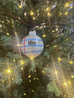 Teacher Ornaments