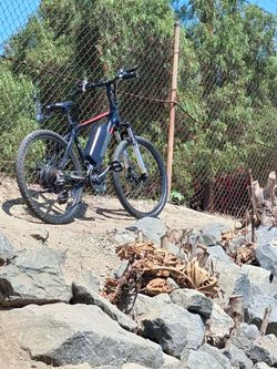 Gocio electric bike