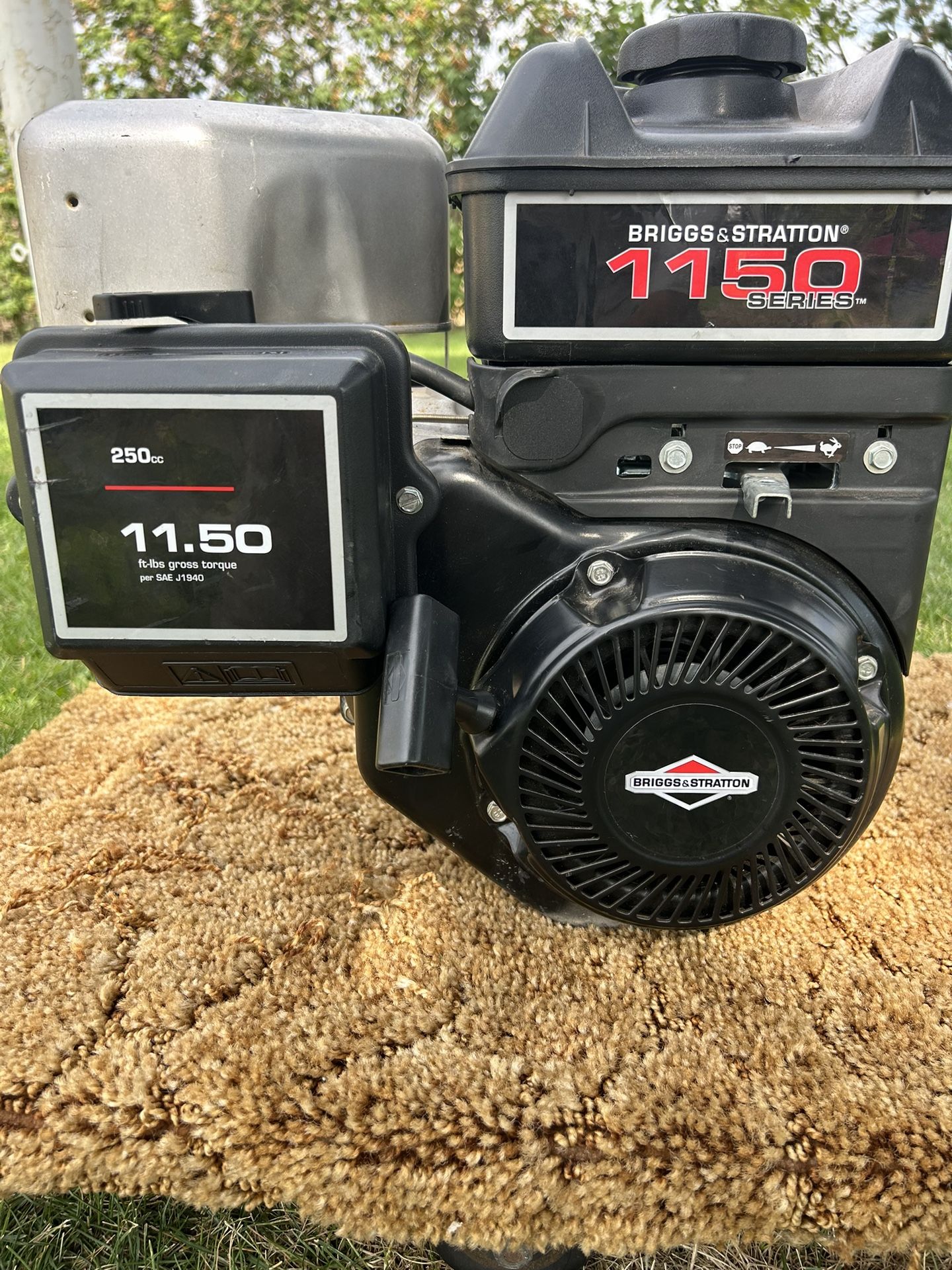 Briggs and Stratton 250cc 11.50 Torque Engine Horizontal