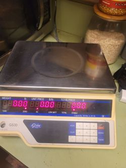 GLOBE SCALE MODEL GS30