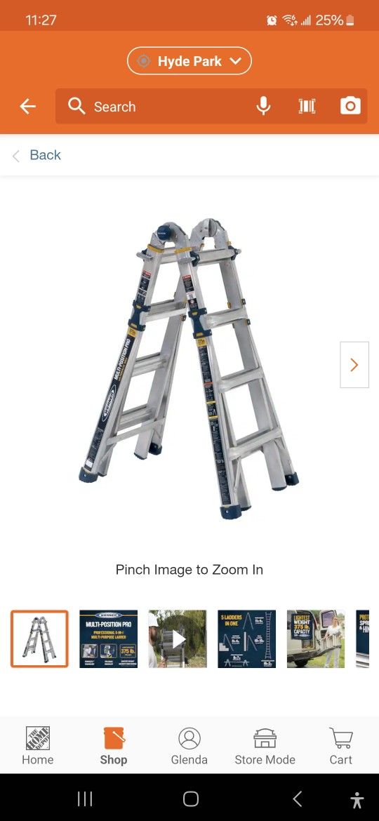werner ladder