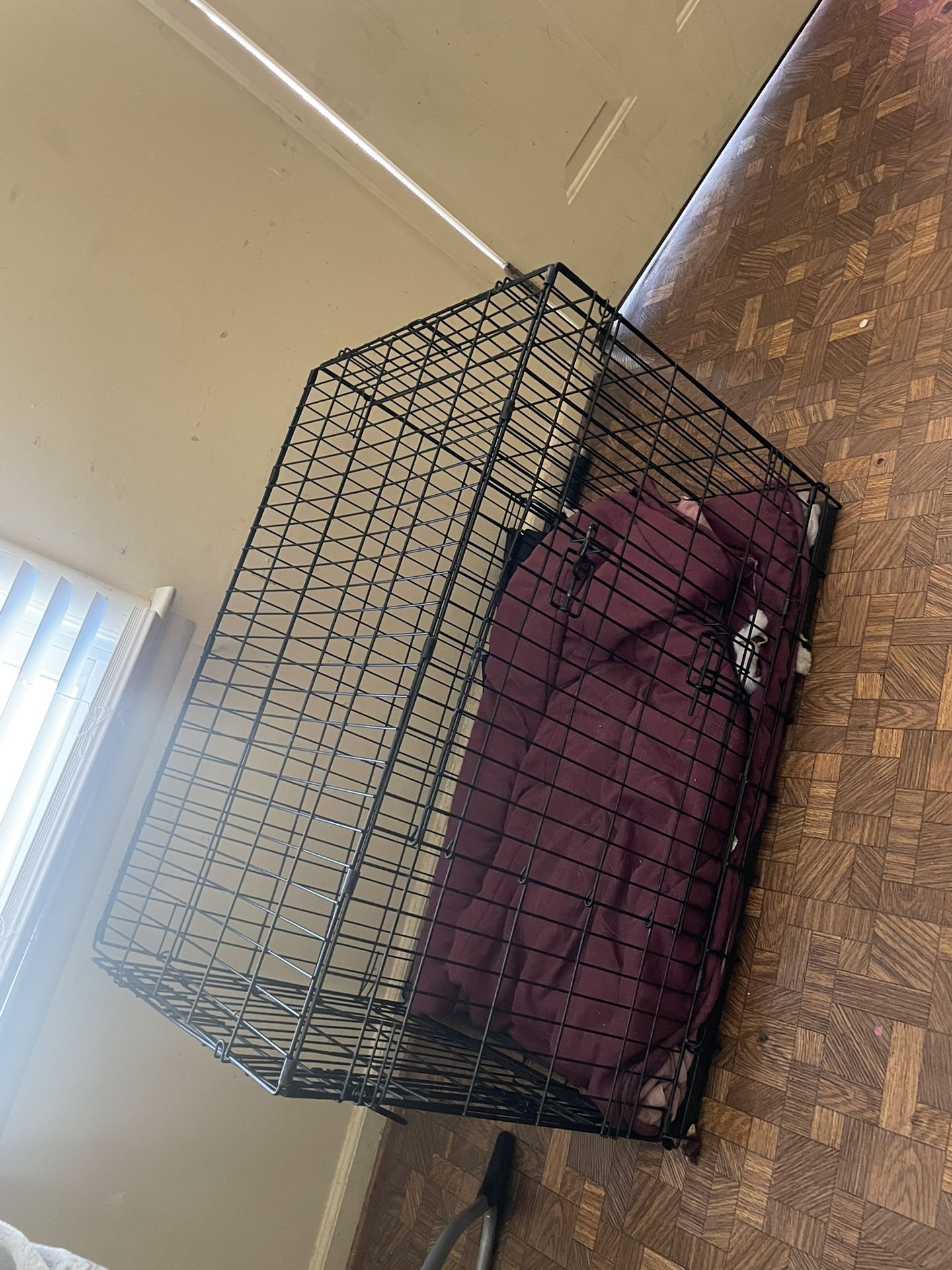 Large Dog Crate