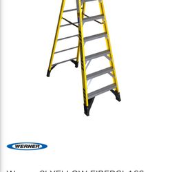 Werner 8 Foot Ladder 