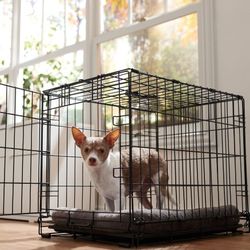 Brand New In Box Sml'md Dog Crate & Tray 2 Door 24"x18"x21 Foldable Cat Cage Pet Kennel Animal Carrier 