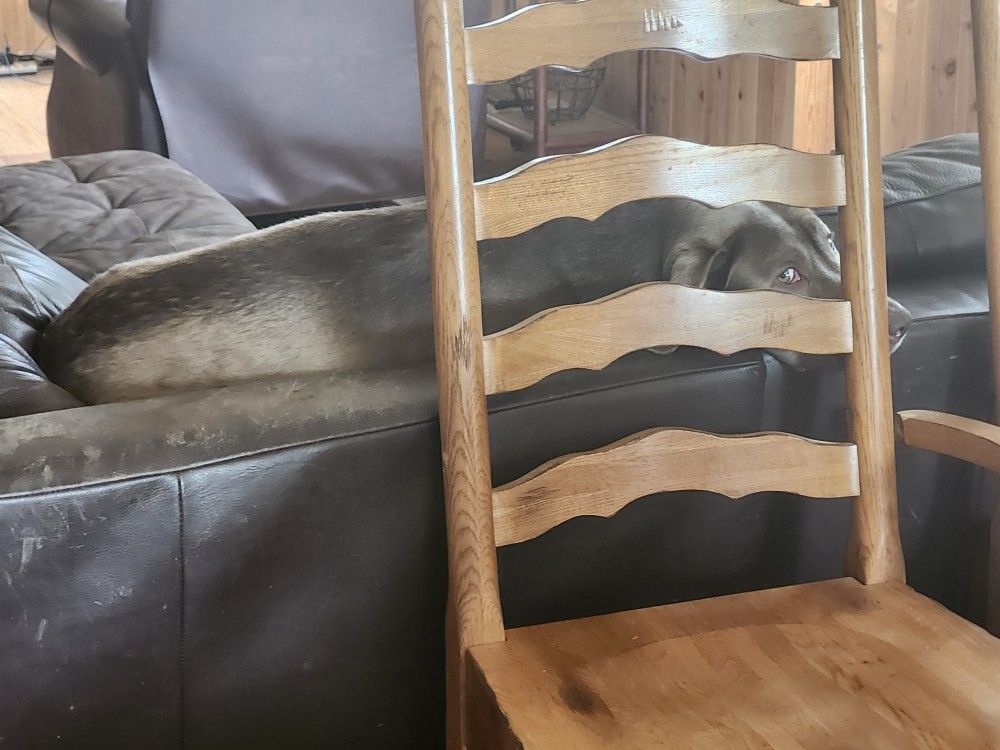 Free Kitchen Table And 6 Chairs Heavy Solid Wood