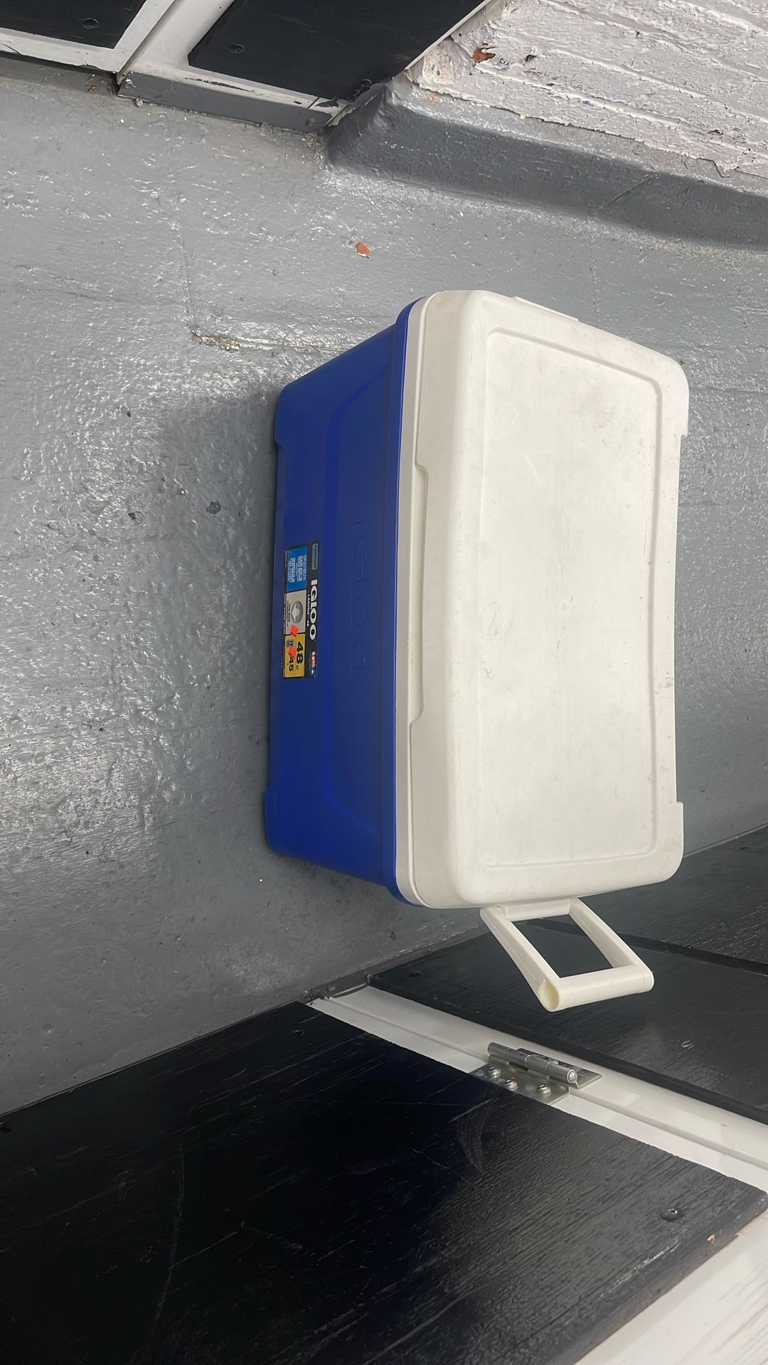 Cooler Igloo