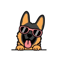 Pastor Aleman  - German Shepherd 