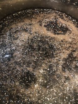 Organic Elderberry