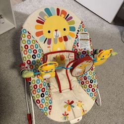 Baby  Bouncer