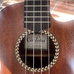 Cordoba ukulele 