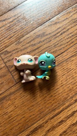LPS 20/ EACH
