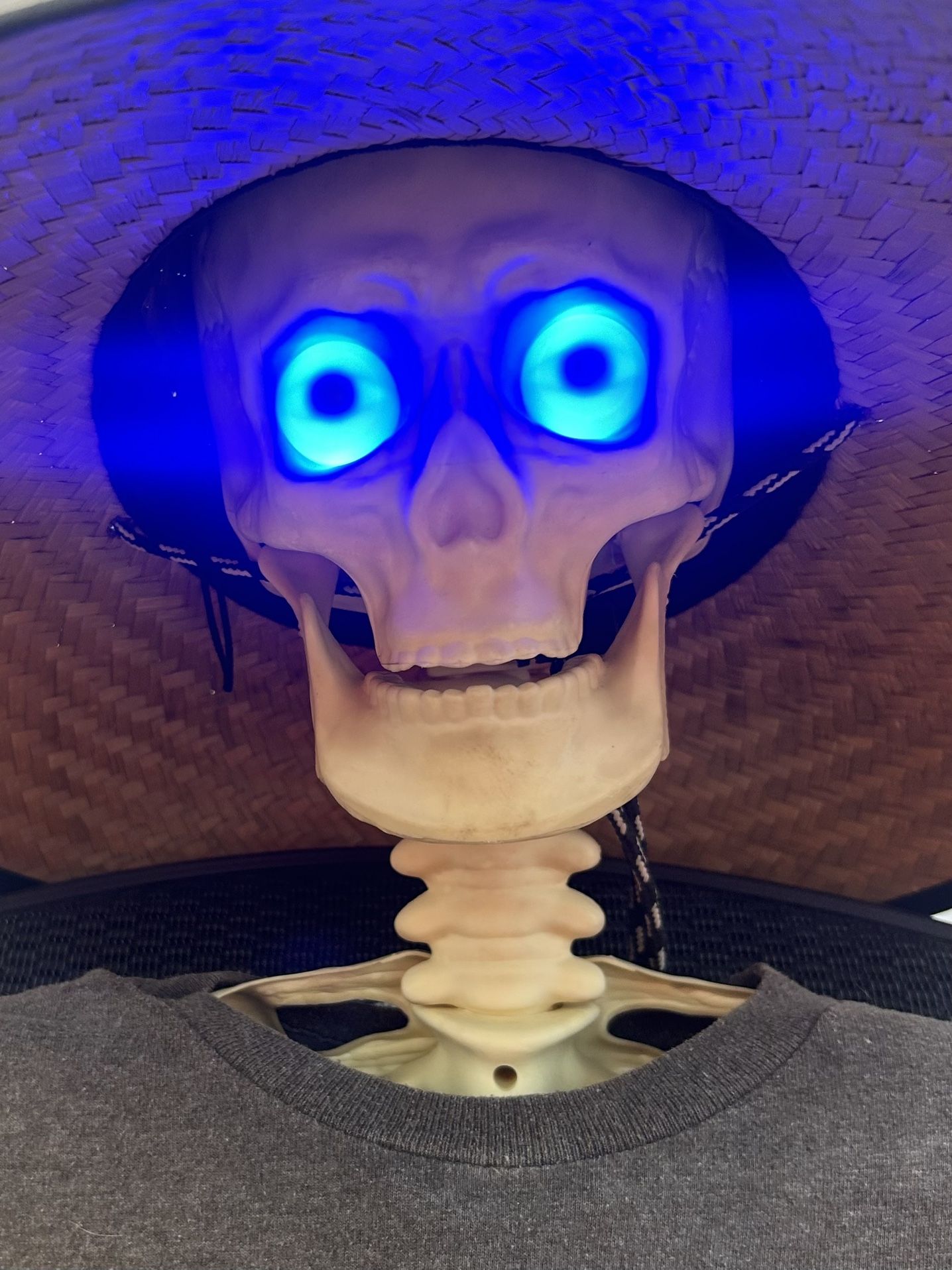 2020-2021  Big Lots LED Hanging “SKELETON” 4ft 10-11in HALLOWEEN Decoration  👀 (please read description)