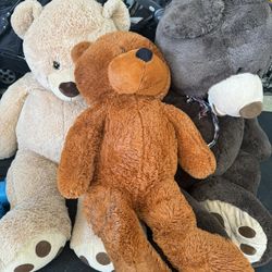 Large Teddy Bears