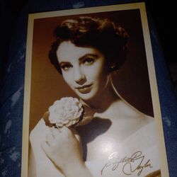 Elizabeth Taylor Postcard