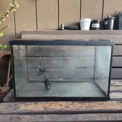  Fish Tank 