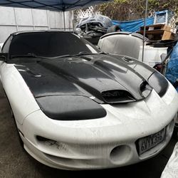 Firebird Partout