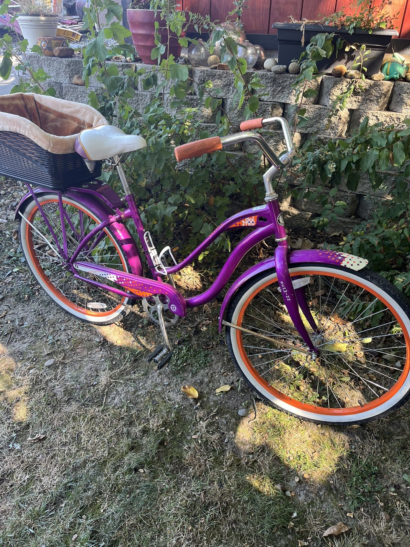 Sweet Schwinn Bike W/ Dog Basket