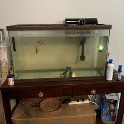 55 Gallon